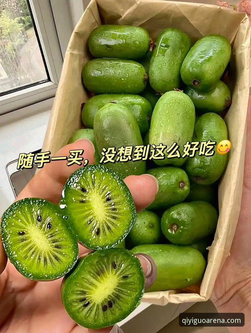 奇异果体育手机版新手使用指南：从下载到注册的完整步骤