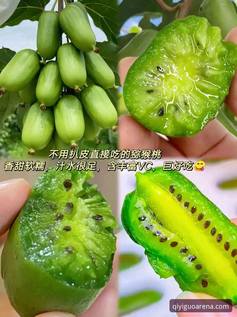 奇异果体育用户注册流程深度分析：从平台选择到体验优化的全面解析